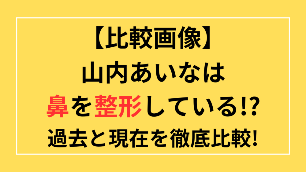 山内あいな　鼻　整形