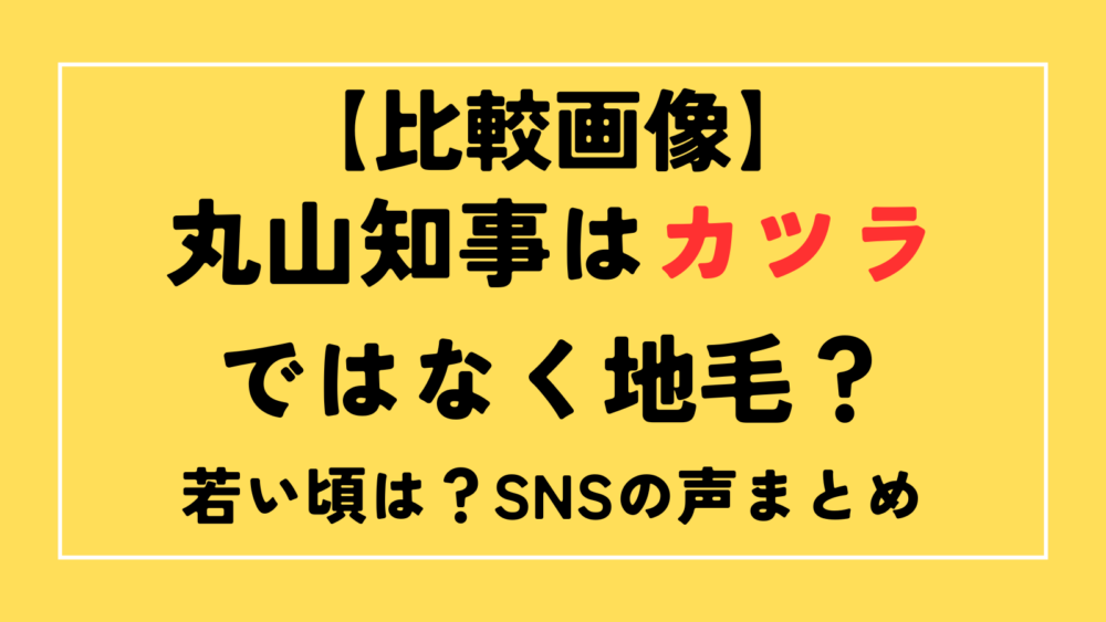 丸山知事　カツラ