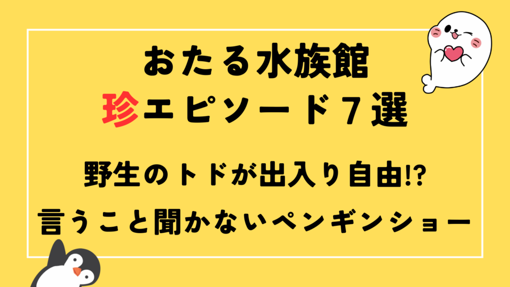 おたる水族館　トド、ああざらし、ペンギン