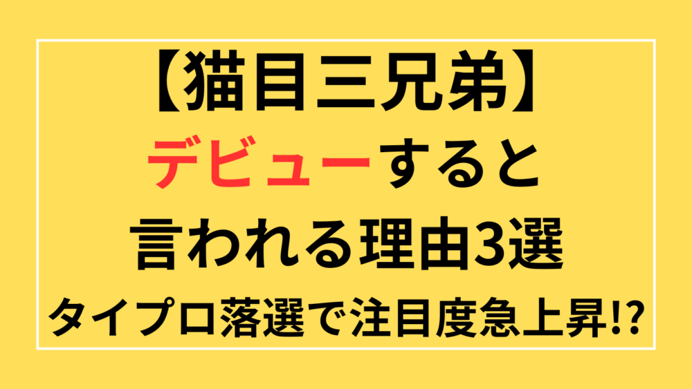 猫目三兄弟　西山智樹　浜川路己　本多大夢　デビュー　