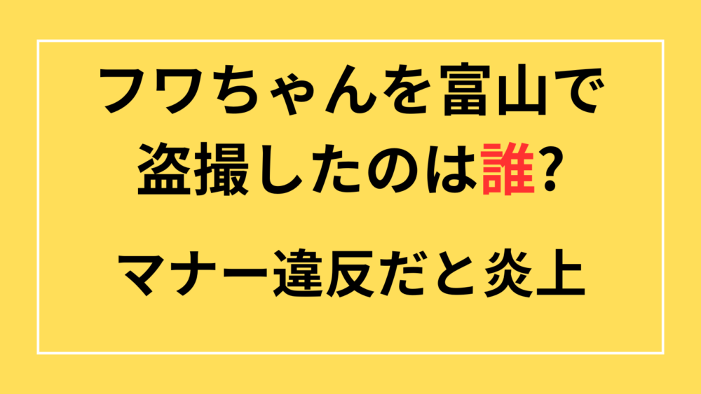 フワちゃん　富山　盗撮　誰　炎上